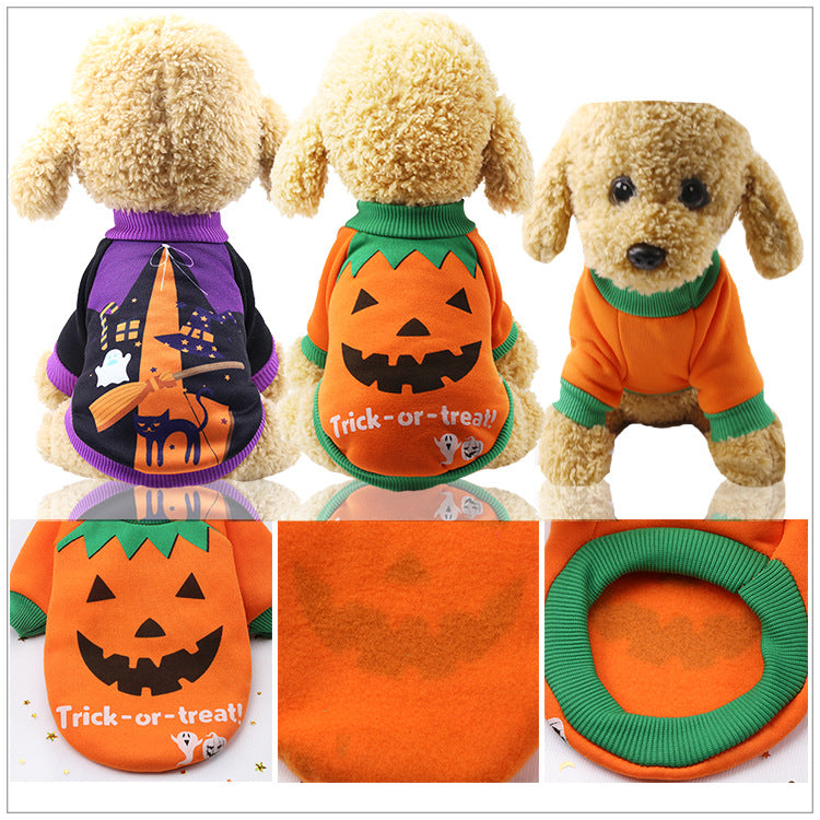 Pull Halloween pour chien et chat – Citrouille & Chat Noir “Trick or Treat”