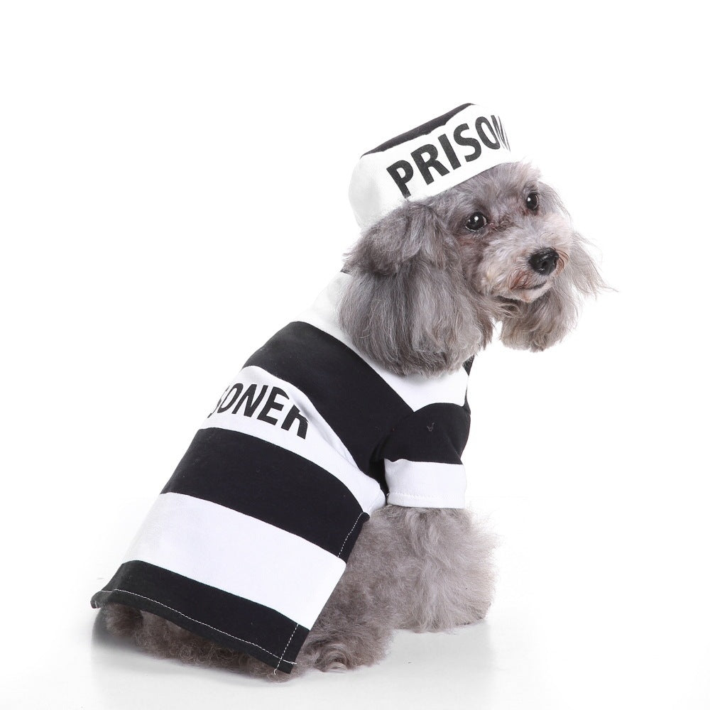 Déguisements et tenues originales pour chiens Noël et Halloween