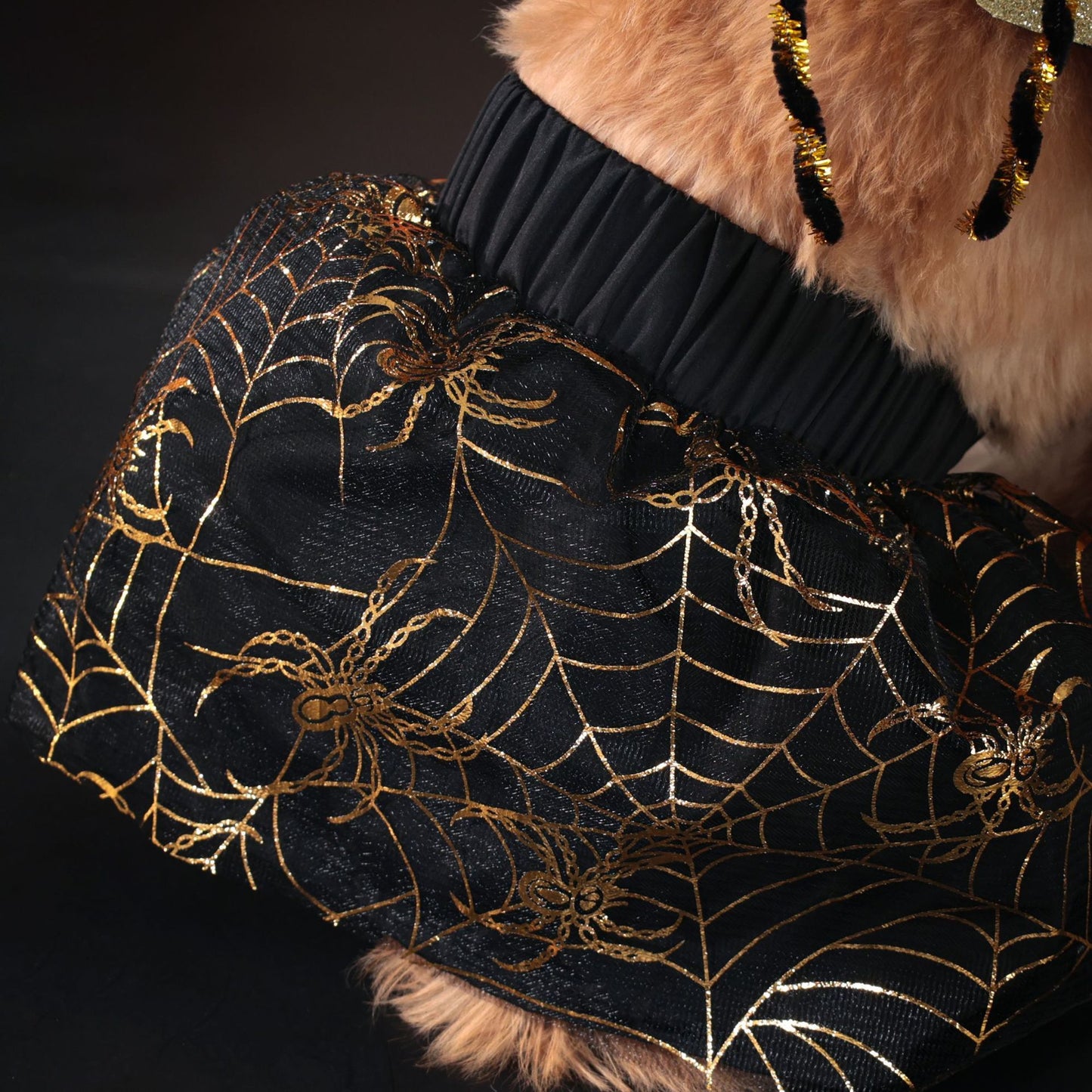 Costume Halloween pour chien – Cape Araignée Dorée