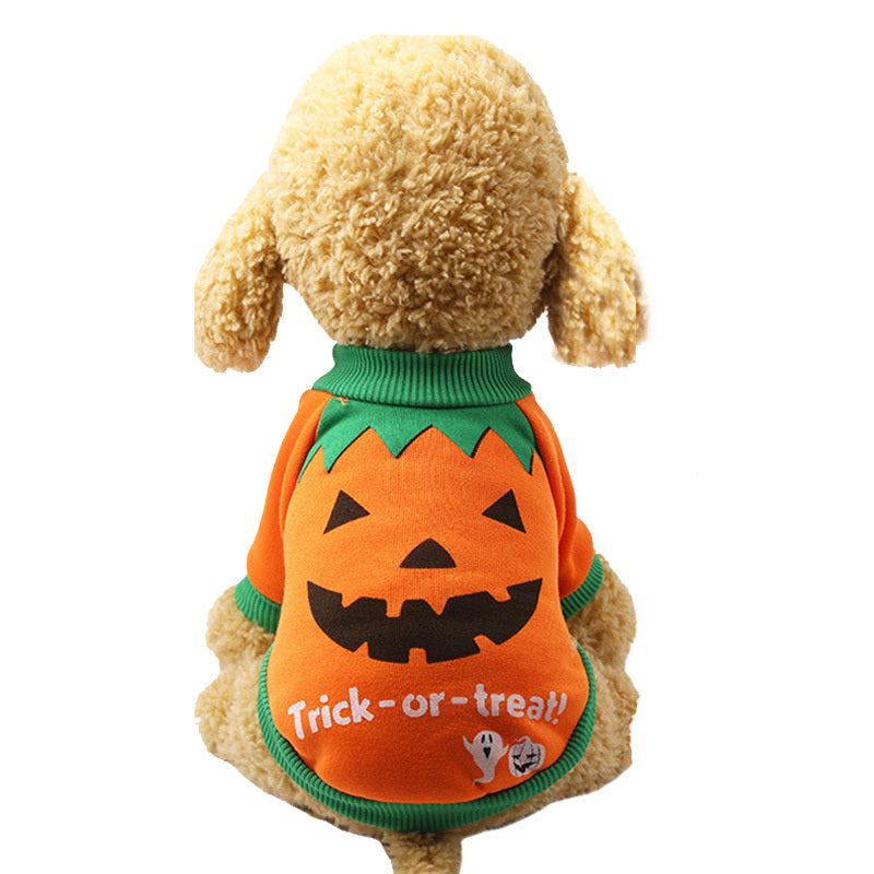 Pull Halloween pour chien et chat – Citrouille & Chat Noir “Trick or Treat”