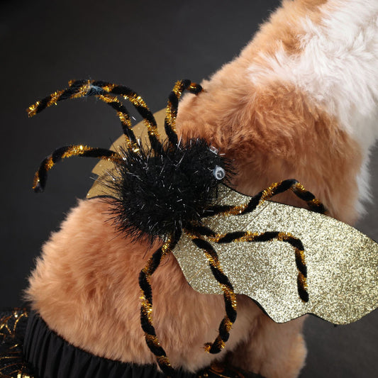 Costume Halloween pour chien – Cape Araignée Dorée